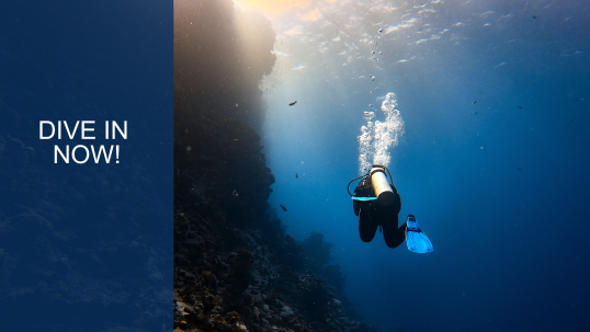 Dive in the Atlas